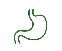 Gastroenterologia