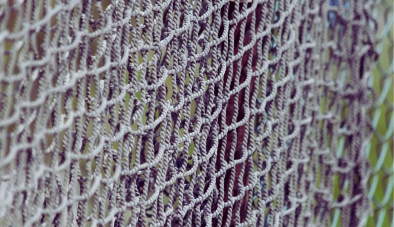Cystites et infections urinaires récidivantes : le biofilm comme explication