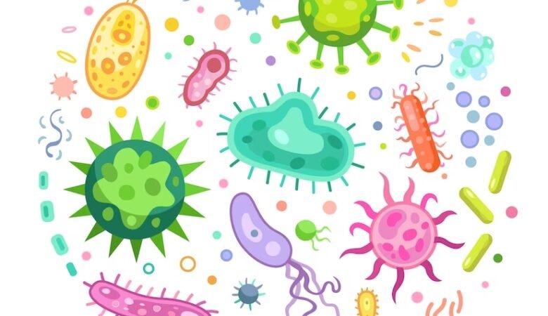 Le Microbiote Intestinal