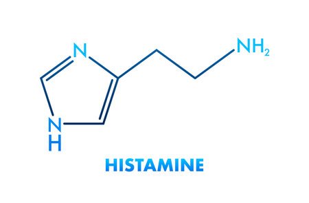 Rôle de l’histamine dans les inflammations chroniques