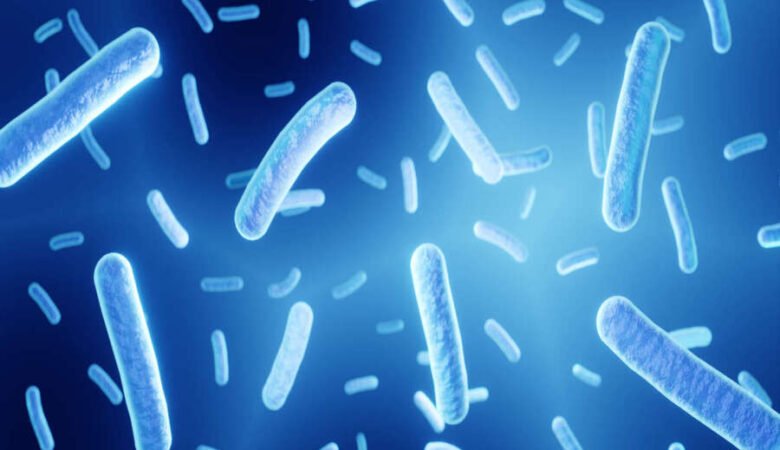 Utilité des probiotiques contre la cystite