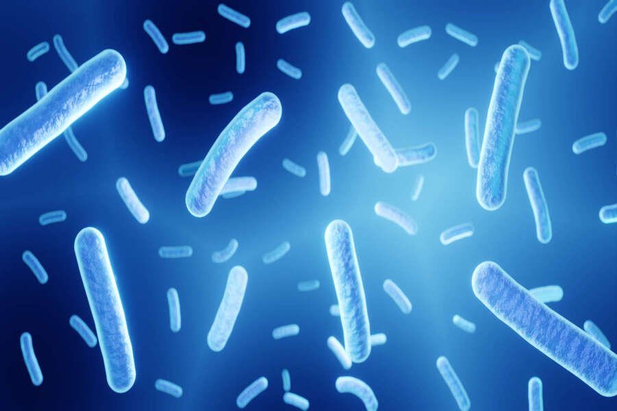 L'utilité des probiotiques en cas de cystite