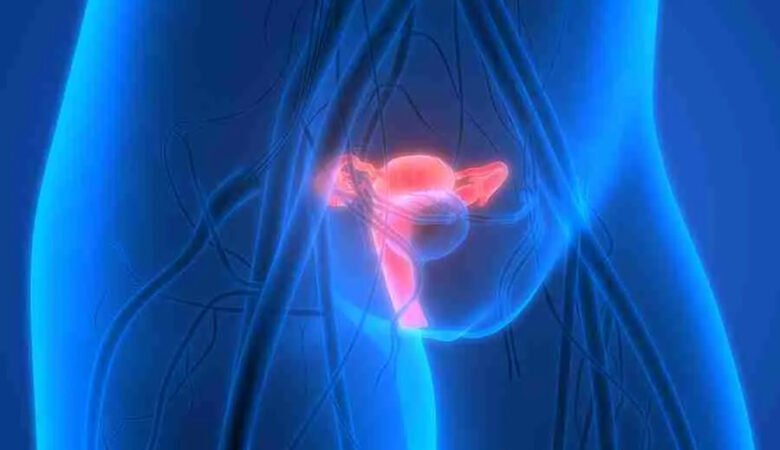 Névralgies et neuropathies pelviennes