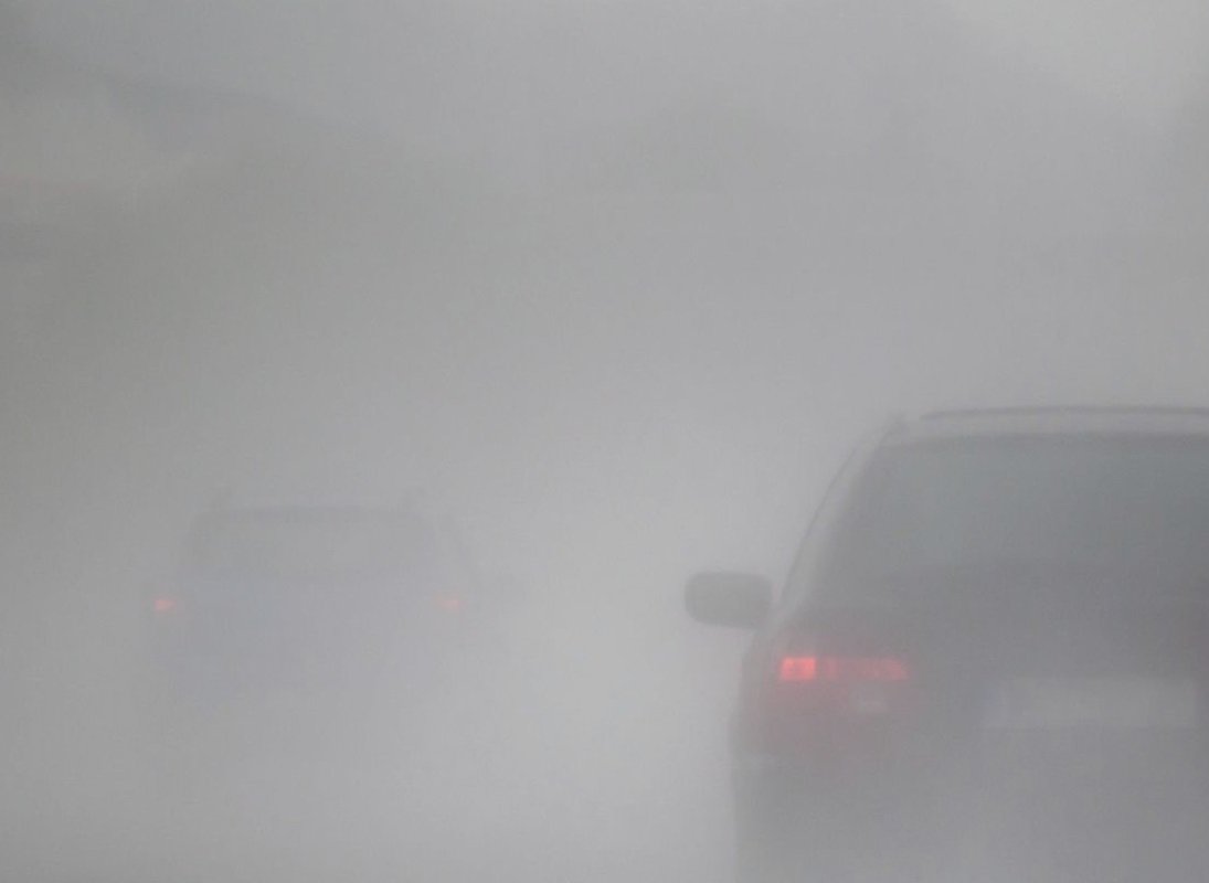 Brouillard mental rime avec hyperpermeabilité intestinale