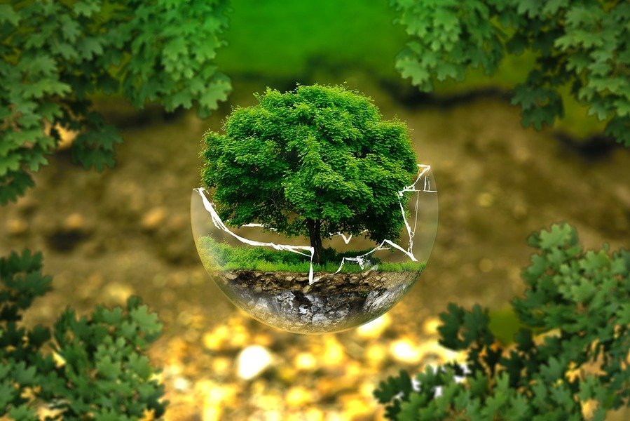 Il Microbiota: una terra sconosciuta