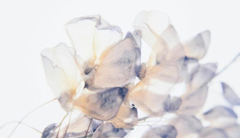 Infection chronique à Mycoplasma ou Ureaplasma : quelles options naturelles ?
