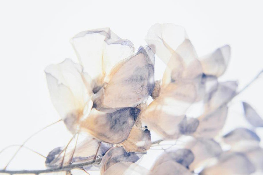 Infection chronique à Mycoplasma ou Ureaplasma : quelles options naturelles ?